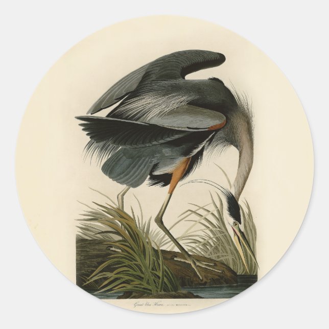 Audubon Great Blue Heron Marsh Bird Runder Aufkleber (Vorderseite)