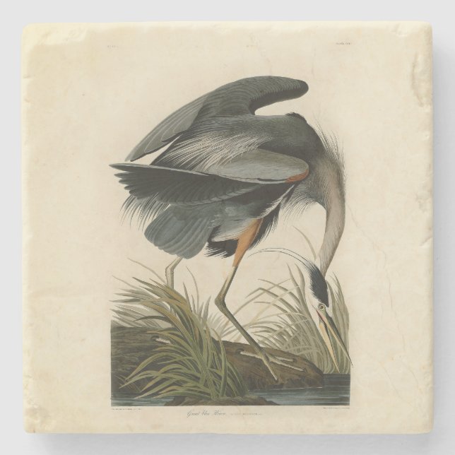 Audubon Great Blue Heron Marsh Bird Steinuntersetzer (Vorderseite)