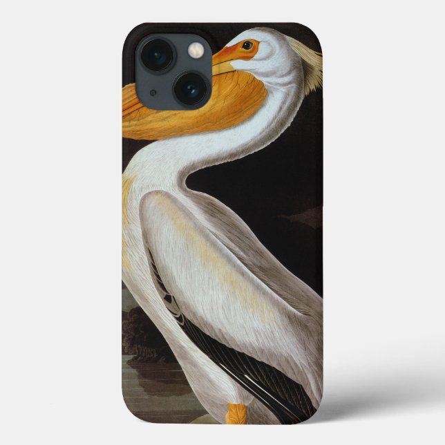 Audubon: Great White Pelican Case-Mate iPhone Hülle (Rückseite)