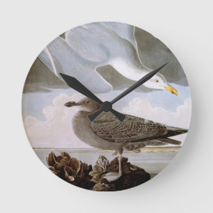 Audubon: Hering Gull Runde Wanduhr