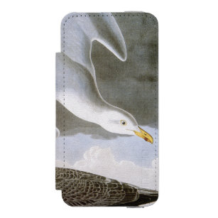 Audubon: Hering-Möve Incipio Watson™ iPhone 5 Geldbörsen Hülle