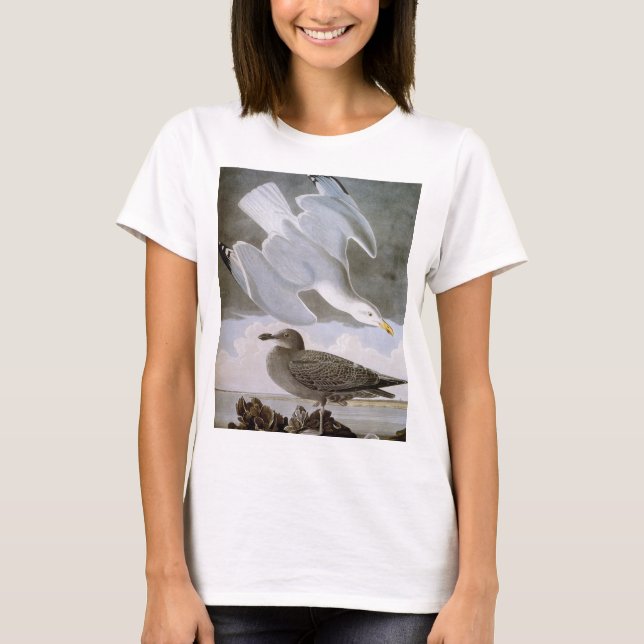 Audubon: Hering-Möve T-Shirt (Vorderseite)