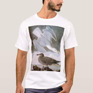 Audubon: Hering-Möve T-Shirt