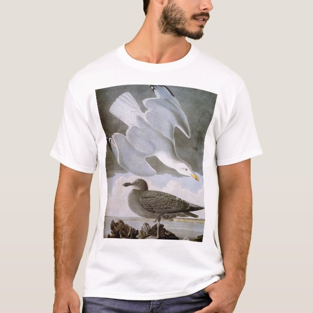 Audubon: Hering-Möve T-Shirt (Vorderseite)