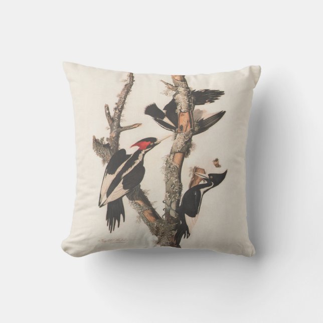 Audubon Ivory-Billed Woodpecker Kissen (Vorderseite)