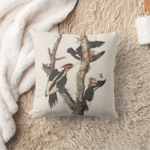 Audubon Ivory-Billed Woodpecker Kissen