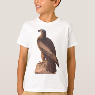 Audubon Junge-Weißkopfseeadler T-Shirt
