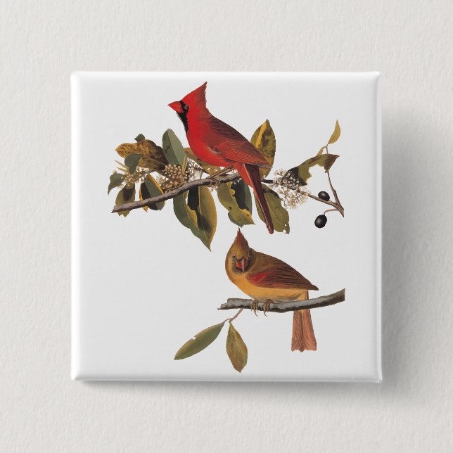 Audubon Kardinal Pair in Wild-Almond-Tree Button (Vorderseite)