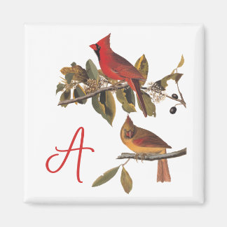 Audubon Kardinal Pair in Wild-Almond-Tree Magnet
