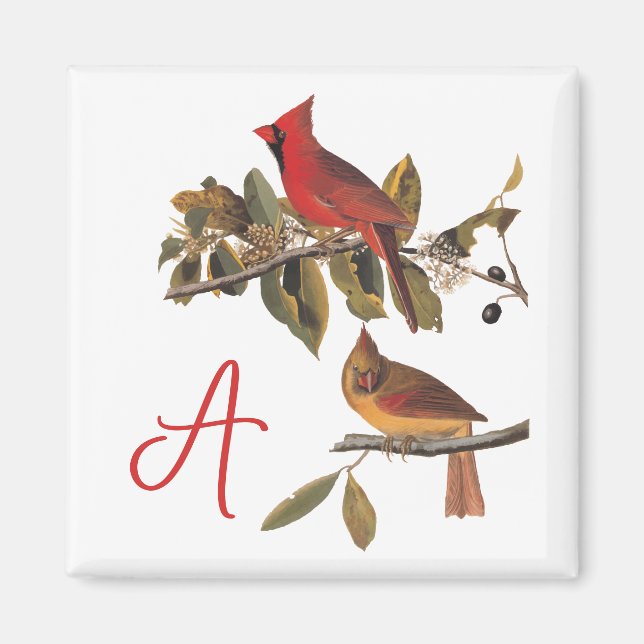 Audubon Kardinal Pair in Wild-Almond-Tree Magnet (Vorne)