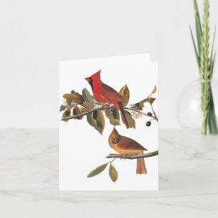 Audubon Kardinalpaar im wilden Mandelbaum Karte