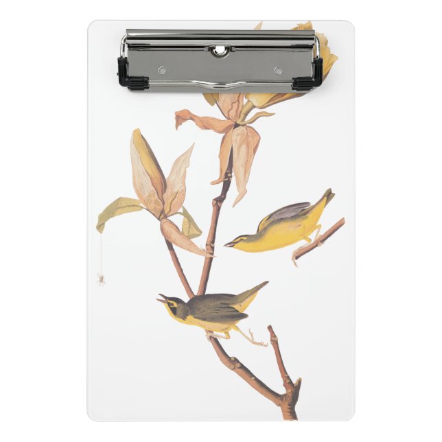 Audubon Kentucky Warblers auf Magnolia Mini Klemmbrett (Vorderseite)
