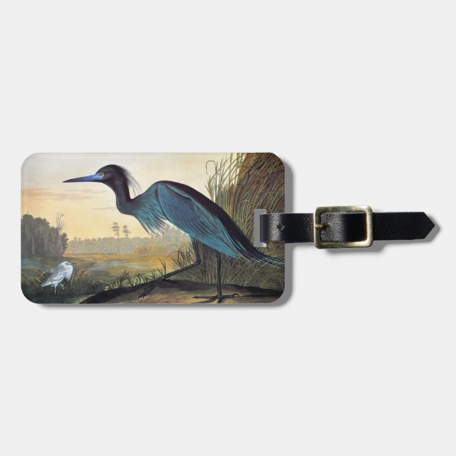 Audubon: Kleines Blau-Reiher Gepäckanhänger (Vorderseite horizontal)