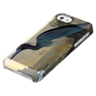 Audubon: Kleines Blau-Reiher Durchsichtige iPhone SE/5/5s Hülle