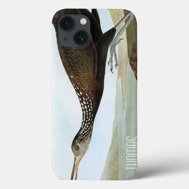 Audubon: Limpkin Case-Mate iPhone Hülle (Rückseite)