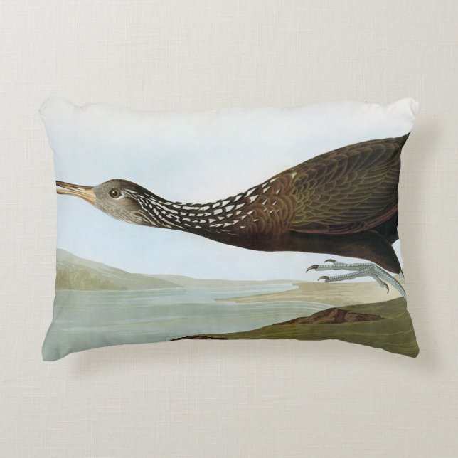 Audubon: Limpkin Dekokissen (Vorderseite)