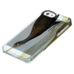Audubon: Limpkin Durchsichtige iPhone SE/5/5s Hülle