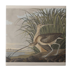 Audubon Long Billed Curlew Bird Fliese