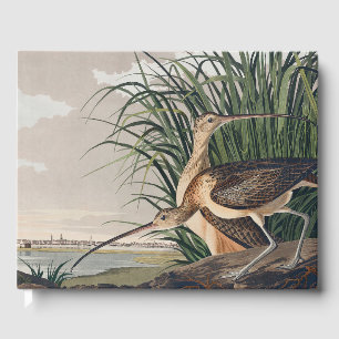 Audubon Long Billed Curlew Bird Gästebuch