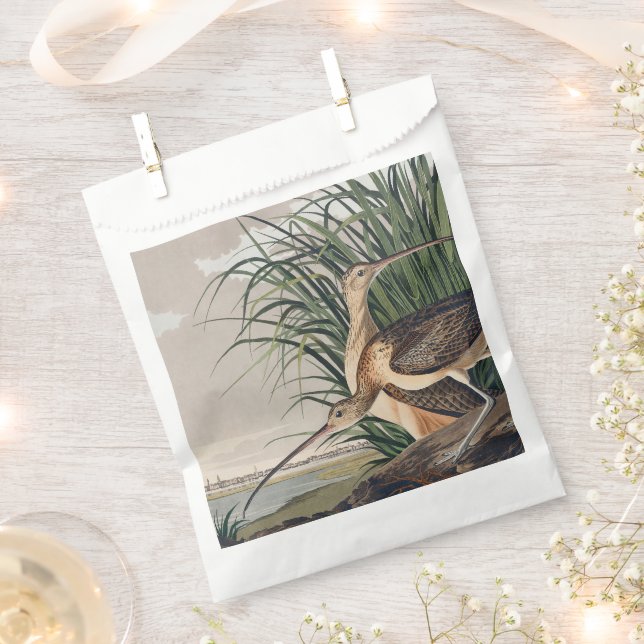 Audubon Long Billed Curlew Bird Geschenktütchen (Ausgeschnitten)