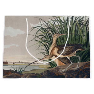 Audubon Long Billed Curlew Bird Große Geschenktüte