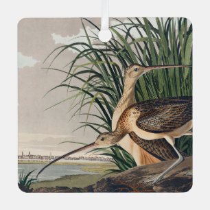 Audubon Long Billed Curlew Bird Ornament Aus Metall
