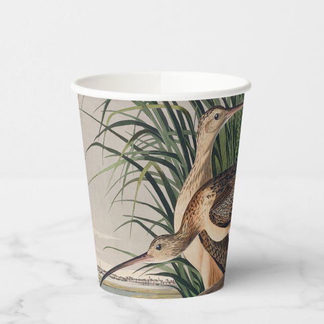 Audubon Long Billed Curlew Bird Pappbecher (Links)
