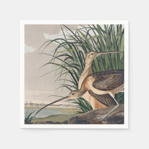 Audubon Long Billed Curlew Bird Serviette