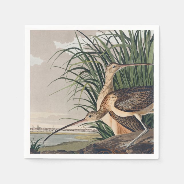 Audubon Long Billed Curlew Bird Serviette (Vorderseite)