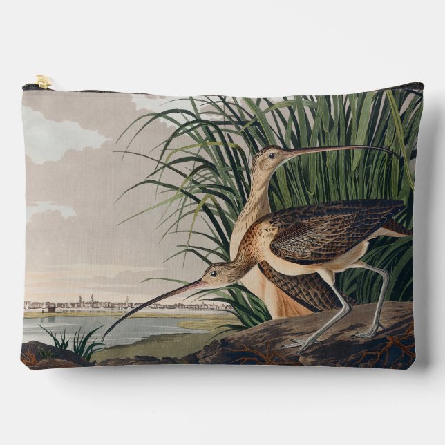 Audubon Long Billed Curlew Bird Zubehörtasche (Vorderseite)