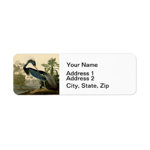 Audubon Louisiana Heron Birds America Art