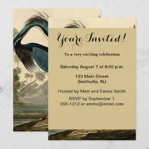 Audubon Louisiana Heron Birds America Art Einladung