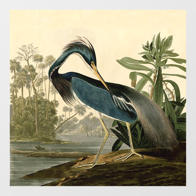 Audubon Louisiana Heron Birds America Art Fensteraufkleber (Blatt)