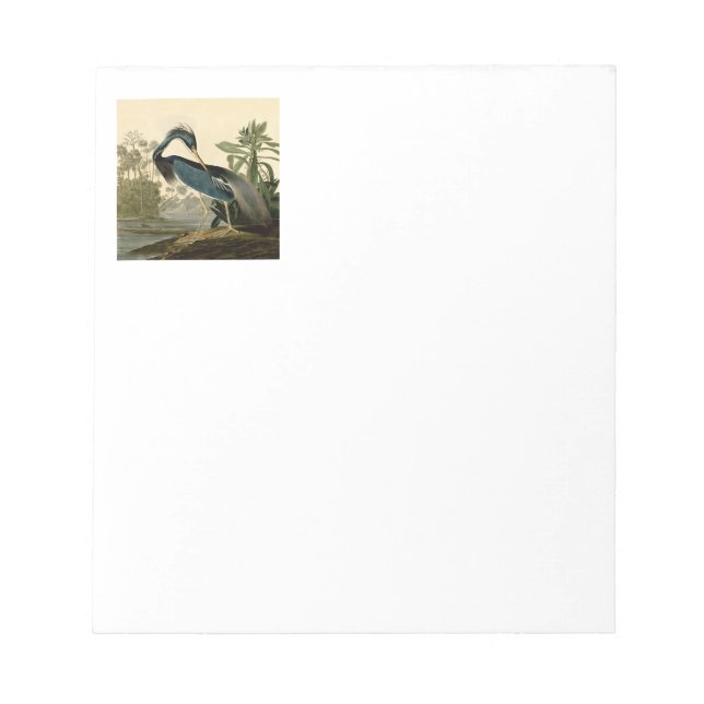 Audubon Louisiana Heron Birds America Art Notizblock (Vorderseite)