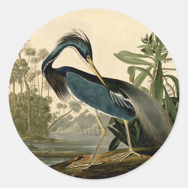 Audubon Louisiana Heron Birds America Art Runder Aufkleber (Vorderseite)
