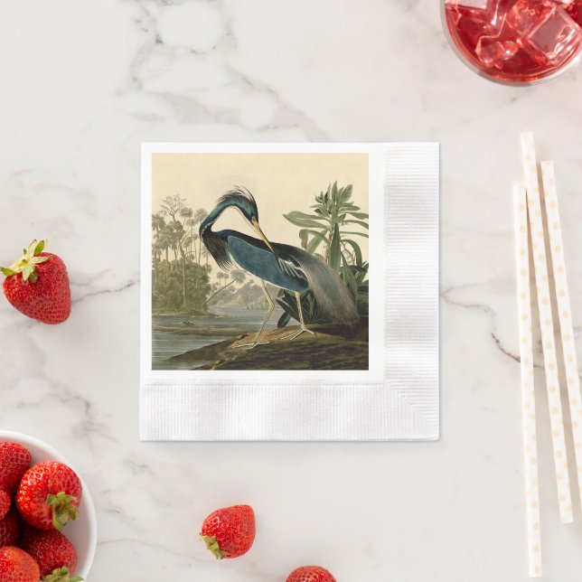 Audubon Louisiana Heron Birds America Art Serviette (Beispiel)