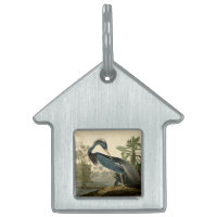 Audubon Louisiana Heron Birds America Art