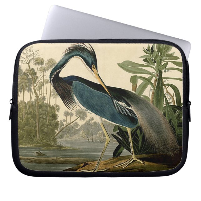 Audubon Louisiana Heron Laptopschutzhülle (Vorderseite)