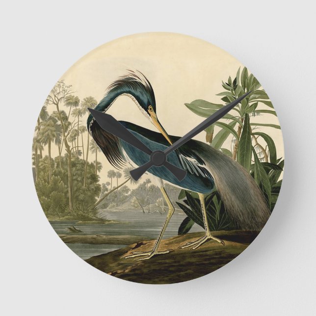 Audubon Louisiana Heron Runde Wanduhr (Vorderseite)