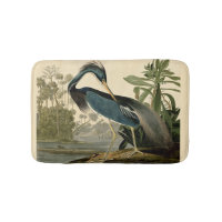 Audubon Louisiana Reiher Birds America Kunst