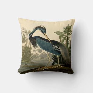 Audubon Louisiana Reiher Birds America Kunst Kissen
