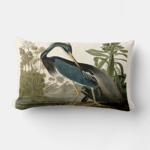 Audubon Louisiana Reiher Birds America Kunst Lendenkissen