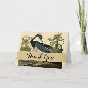 Audubon Louisiana Reiher Vögel Amerika Kunst Dankeskarte