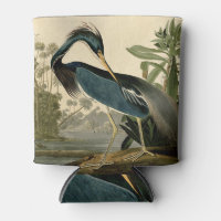 Audubon Louisiana Reiher Vögel Amerika Kunst