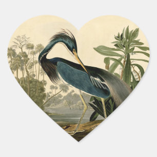 Audubon Louisiana Reiher Vögel Amerika Kunst Herz-Aufkleber