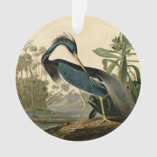 Audubon Louisiana Reiher Vögel Amerika Kunst Ornament