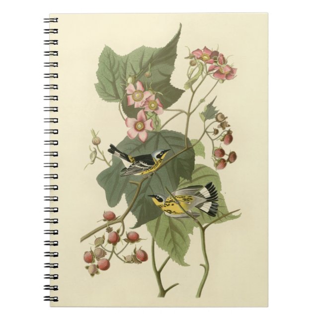Audubon Magnolia Warbler Notizblock (Vorderseite)