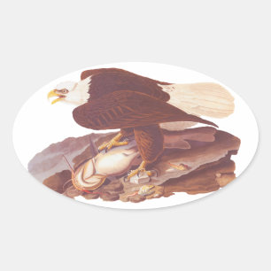 Audubon majestätischer Weißkopfseeadler mit Ovaler Aufkleber