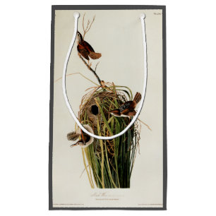 Audubon Marsh Wren Bird Art Kleine Geschenktüte