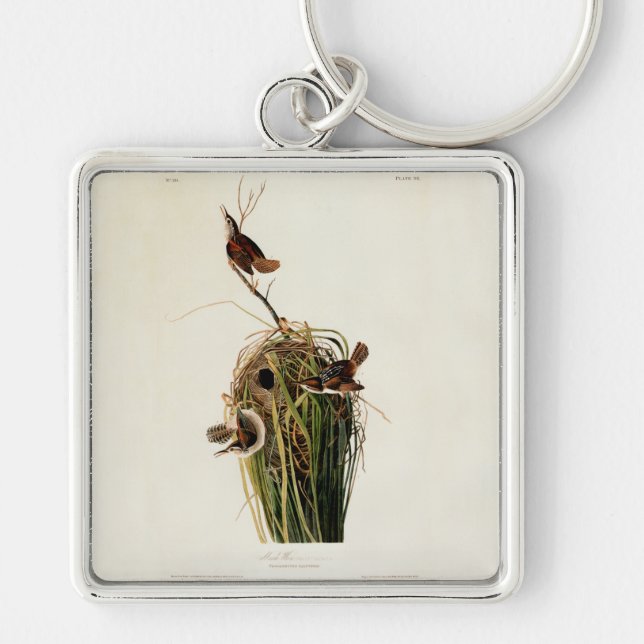 Audubon Marsh Wren Bird Art Schlüsselanhänger (Vorne)